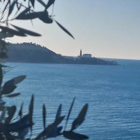 Borea Strunjan * Portorož