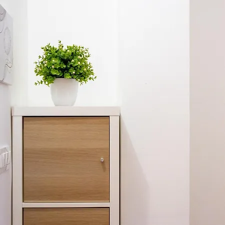 Borea Strunjan Portoroz