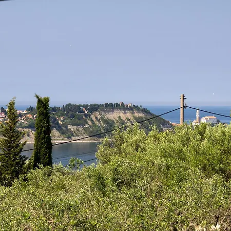 Borea Strunjan Apartment