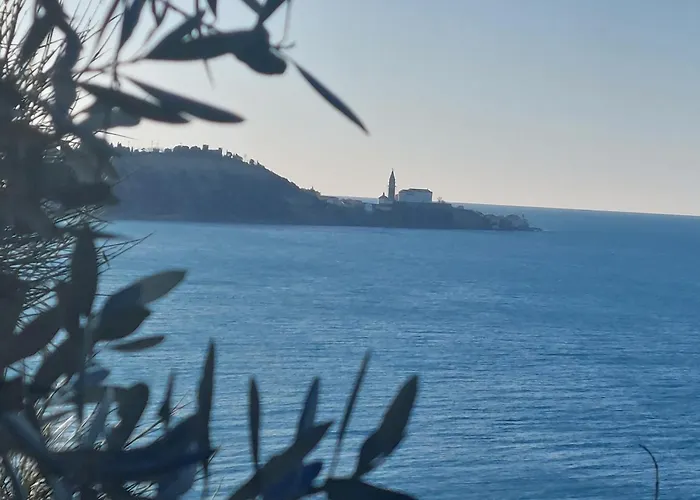 Borea Strunjan * Πορτορόζ