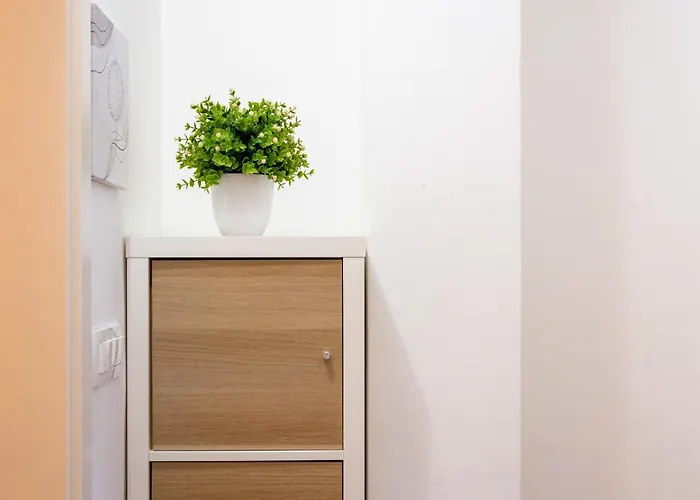 Borea Strunjan Πορτορόζ